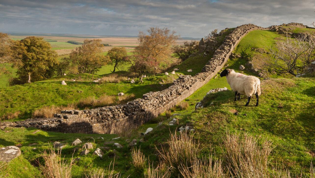 Moments of Reflection:⁣ Finding Solitude and Inspiration ⁢in the English Countryside